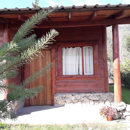 El Jarillal Chalet De Montana A Pasos Del Lago Lago Puelo Luaran gambar