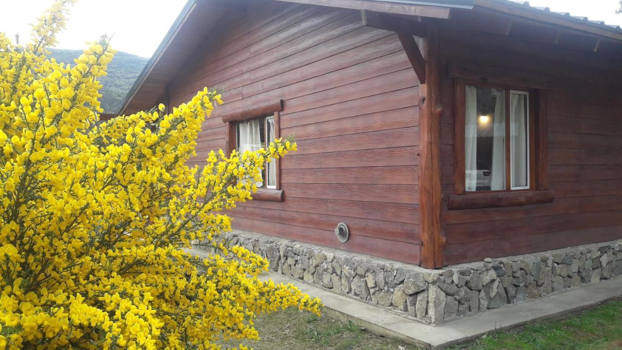 El Jarillal Chalet De Montana A Pasos Del Lago Lago Puelo Luaran gambar