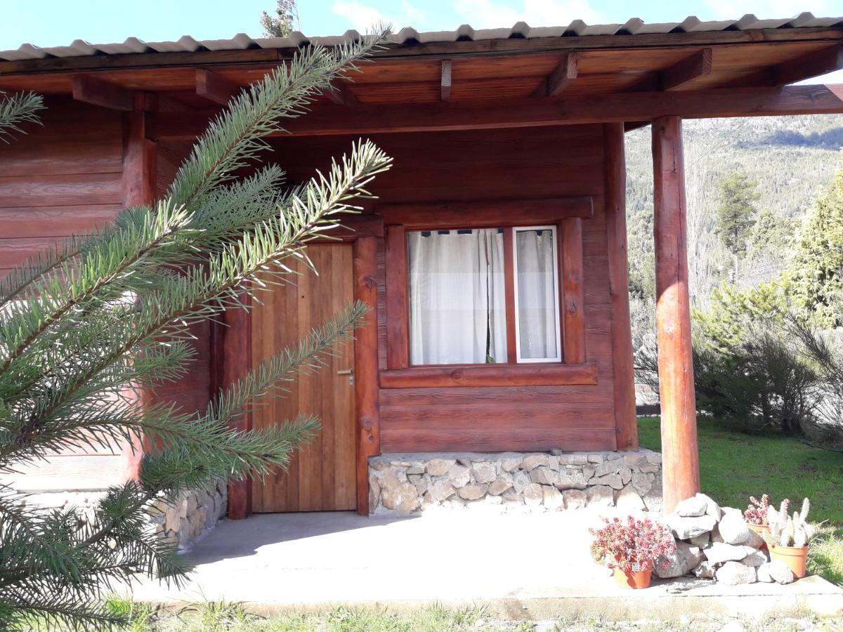 El Jarillal Chalet De Montana A Pasos Del Lago Lago Puelo Luaran gambar